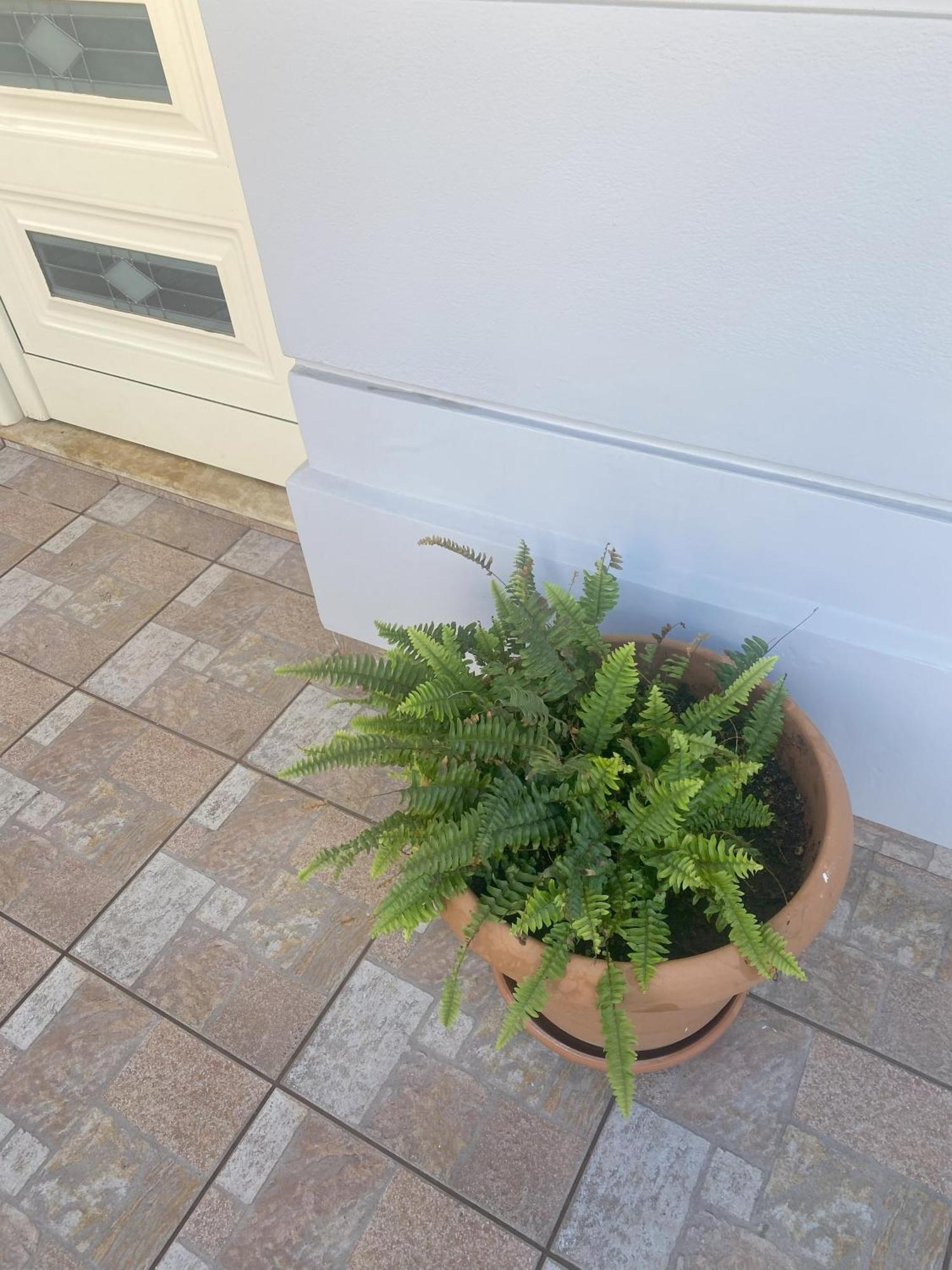 New Unique Apartment In Heraklion Heraklion (Crete) Exterior foto