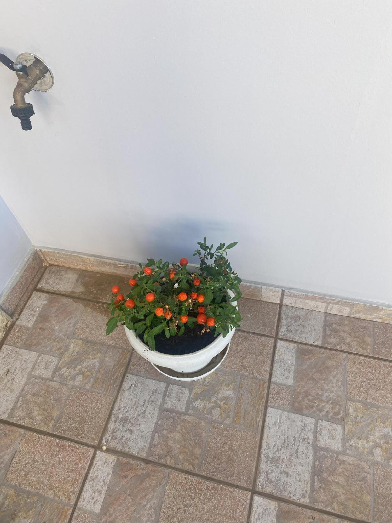 New Unique Apartment In Heraklion Heraklion (Crete) Exterior foto